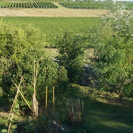La Hourqueyre *